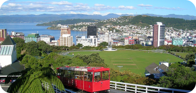 wellington
